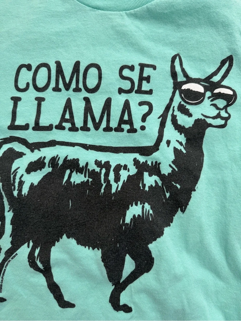 Cat & Jack Aqua Llama Tee with Gray Knit Shorts